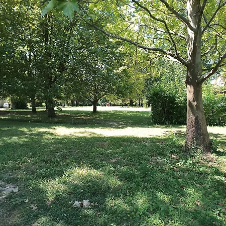 Nyirfa Vendeghaz شقة *